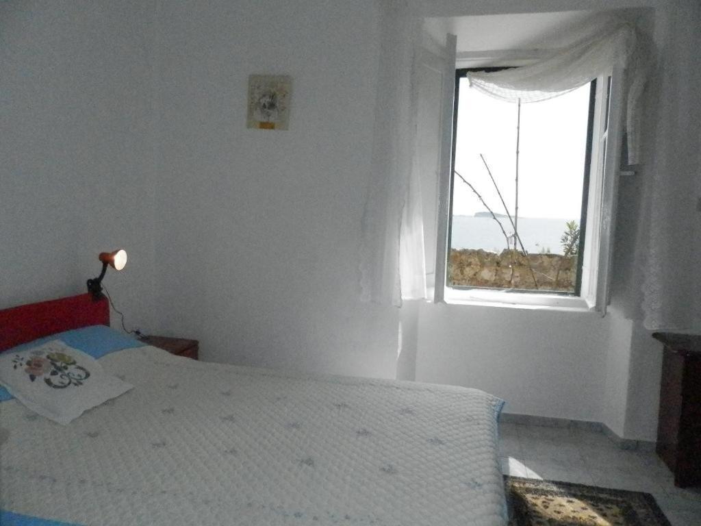 Villa Soti Mlini Zewnętrze zdjęcie