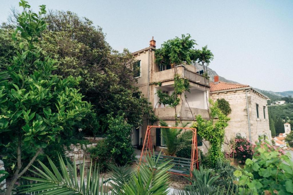 Villa Soti Mlini Zewnętrze zdjęcie